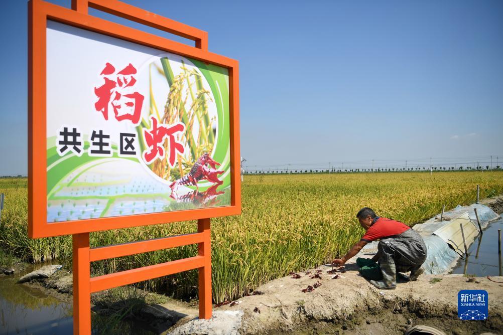 奥门新浦京游戏大平台
